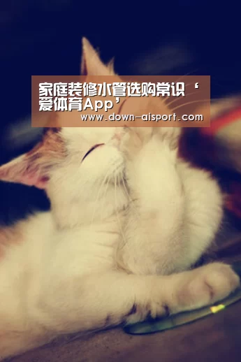 家庭装修水管选购常识‘爱体育App’(图2) 爱体育App