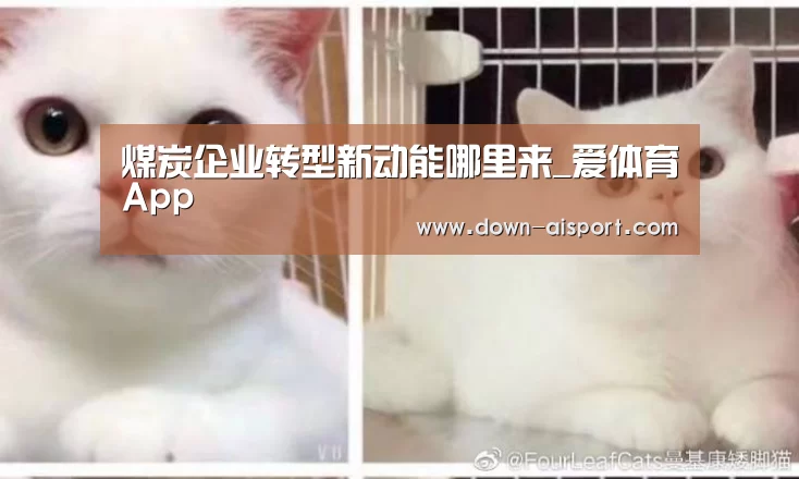 煤炭企业转型新动能哪里来_爱体育App(图4) 爱体育App